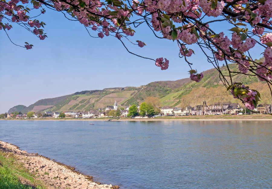 File:Leutesdorf im Frühling.jpg