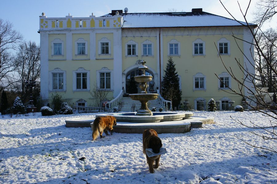 File:Warlitz Herrenhaus.jpg