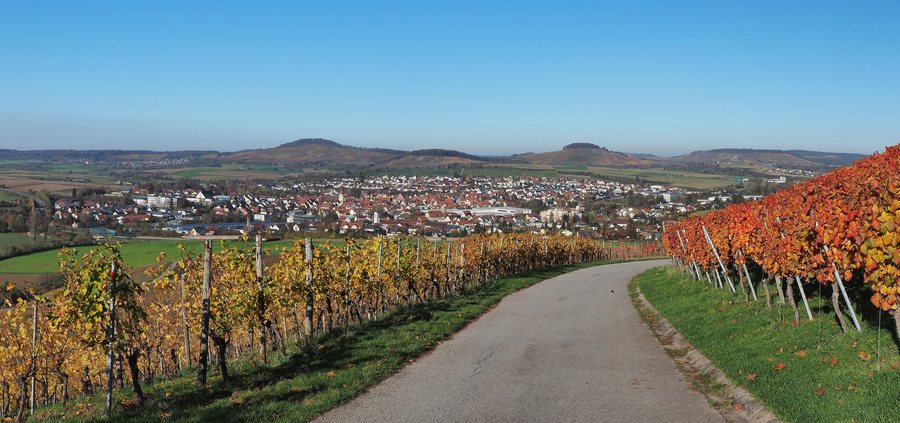 File:Großbottwar vom Benning 01.jpg