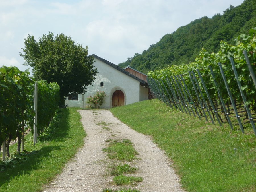 File:Baierweinmuseum Bach.JPG