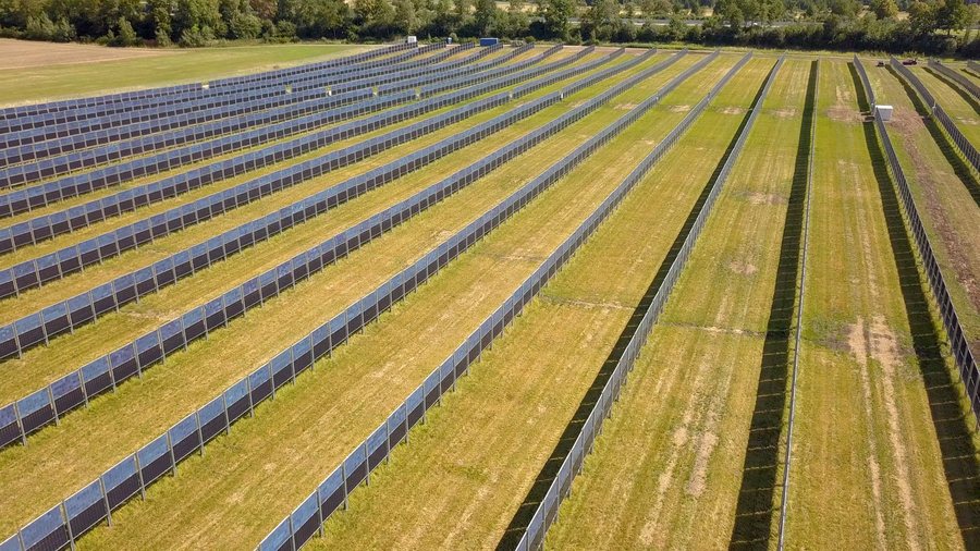 File:Aasen agrivoltaics solar plant with walls of vertical bifacial modules near Donaueschingen Germany 1.jpg