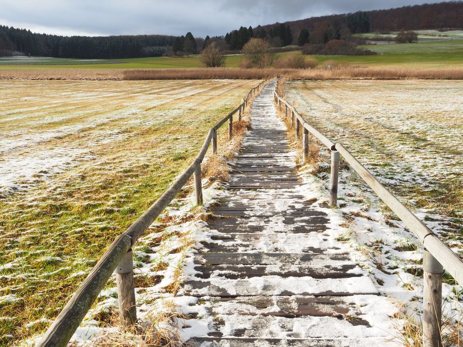 File:Torfmoor Schopfloch Fussweg.jpg