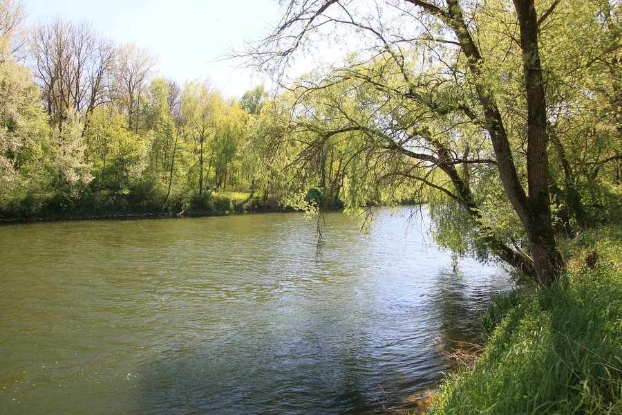 File:Die Donau bei Marxheim.JPG