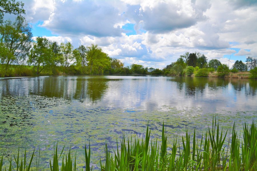 File:Burghofweiher bei Langerringen 01.jpg