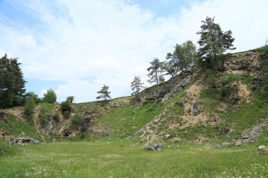Geotop 377A003 Marmorsteinbruch Unterwappenöst, Kulmain