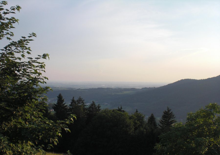 File:Grafling-arzting-donauebene.jpg