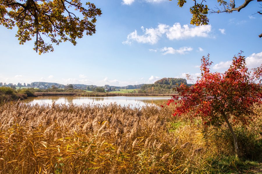 Herbst am Eggelburger See