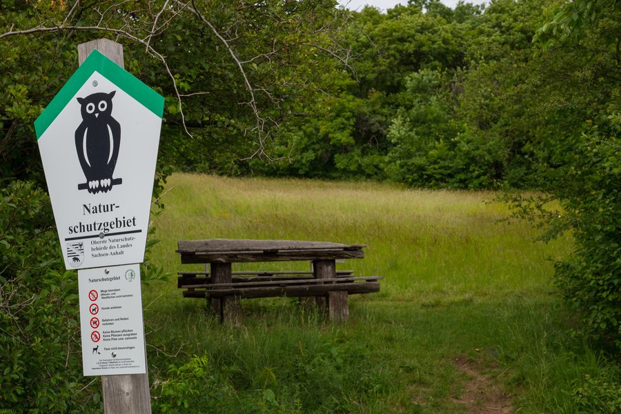 Naturschutzgebiet Muenchenberg 07
