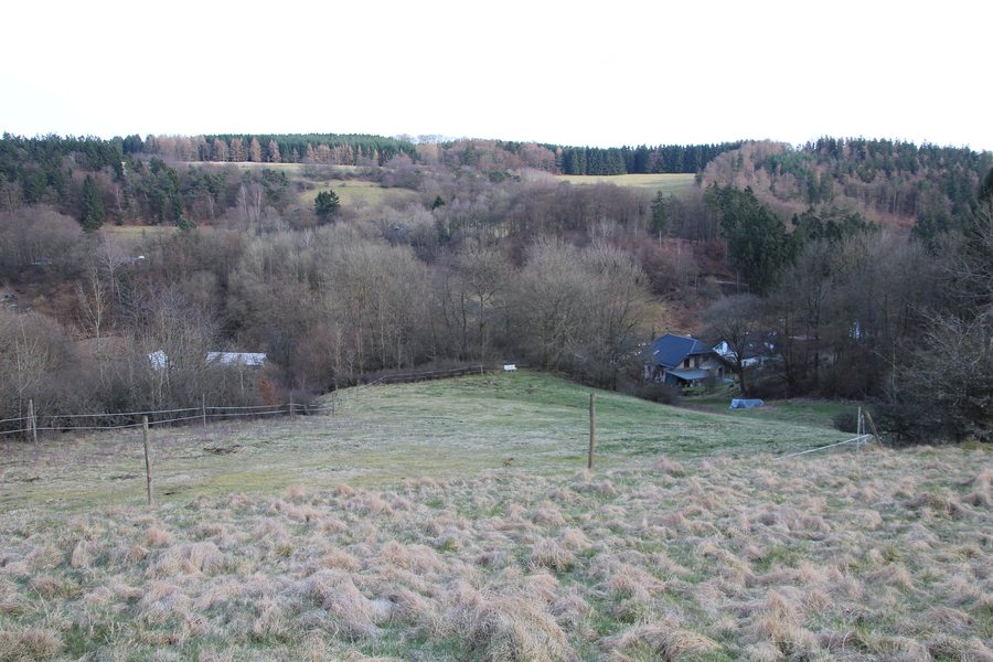 File:Wallenfels (Siegbach) (001).JPG