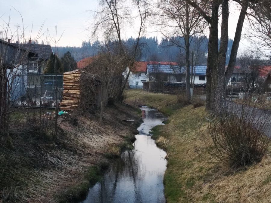 Friesenrieder Bach in Friesenried