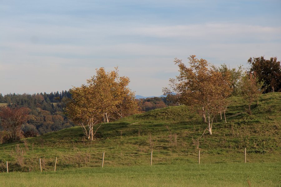 File:Taching am See - Pertenham - Motiv - 2021 10 20-3.jpg