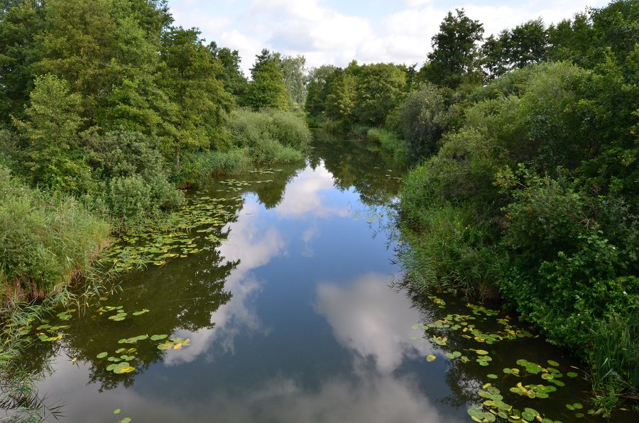 File:Seehausen Ucker-nach-Oberuckersee Juli-2016 DSC 0056.JPG