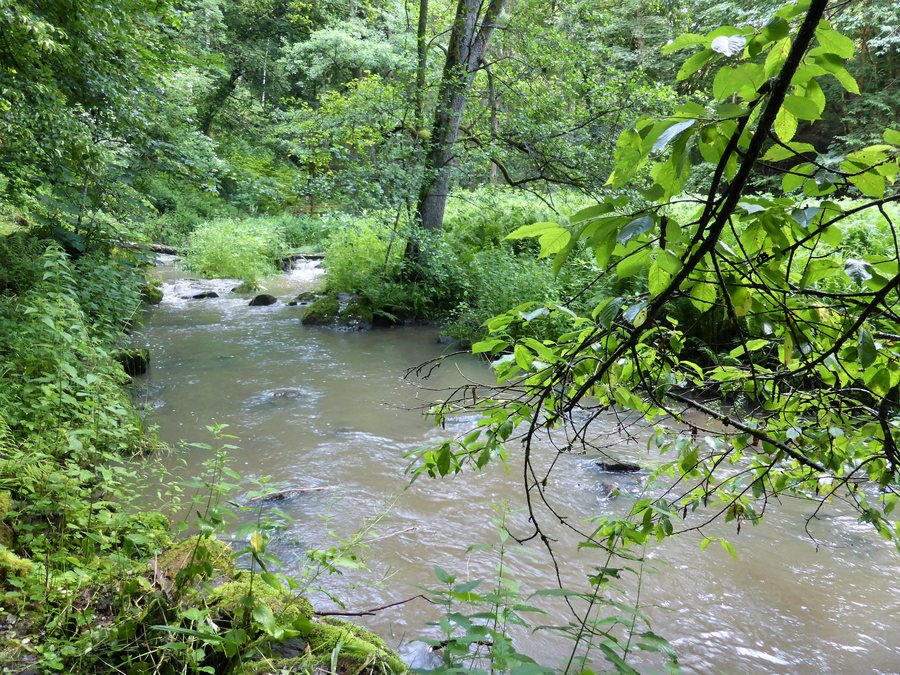 File:Menach-Tal.jpg