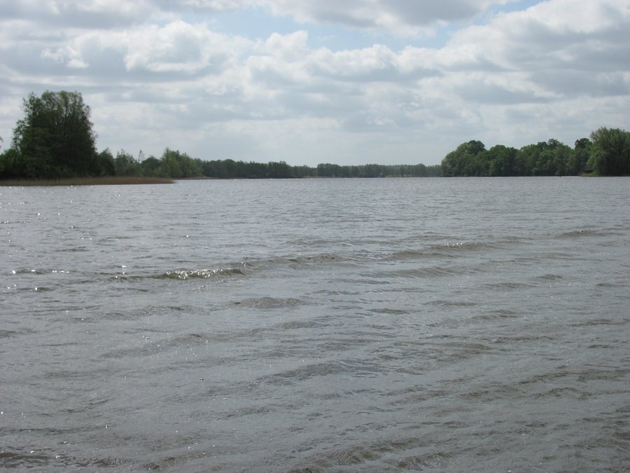 File:Müritzarm Höhe Priborn.jpg