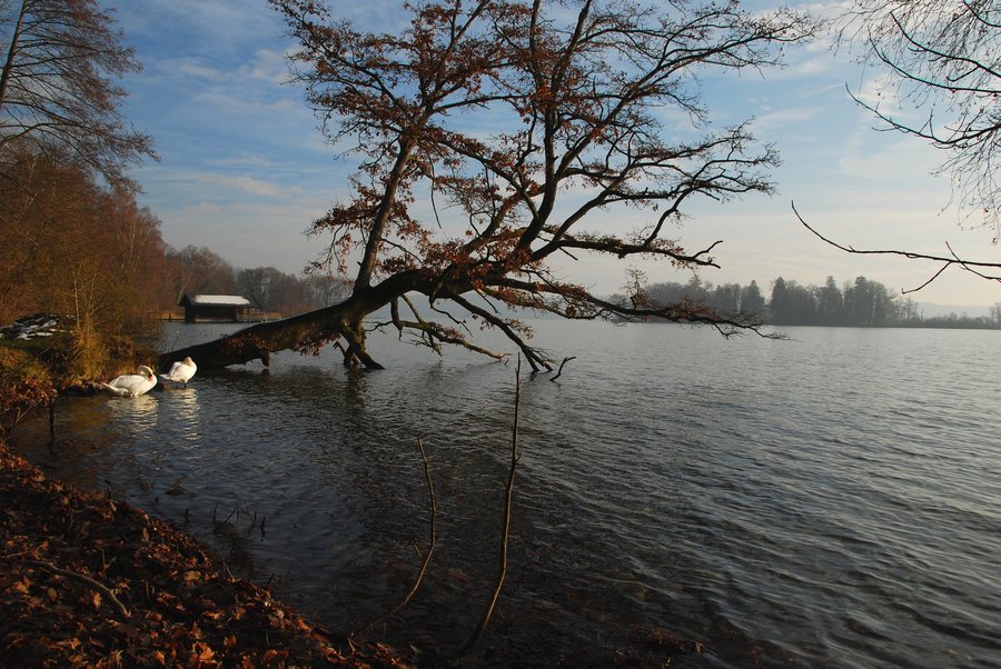 File:Feldafing, HB-05.jpg