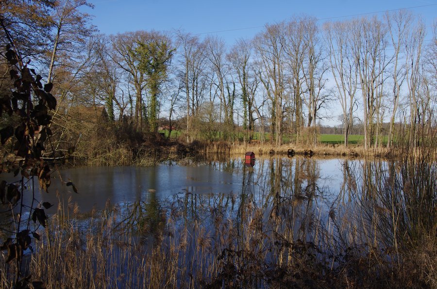 File:Mühlenteich Helzendorf.jpg