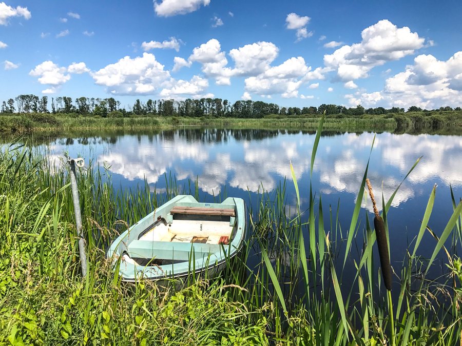 Grenztalmoor near Tribsees in Mecklenburg-Western Pomerania