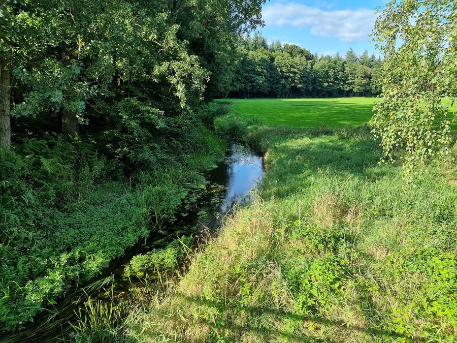 File:Ramme (Oste) bei Freetz.jpg