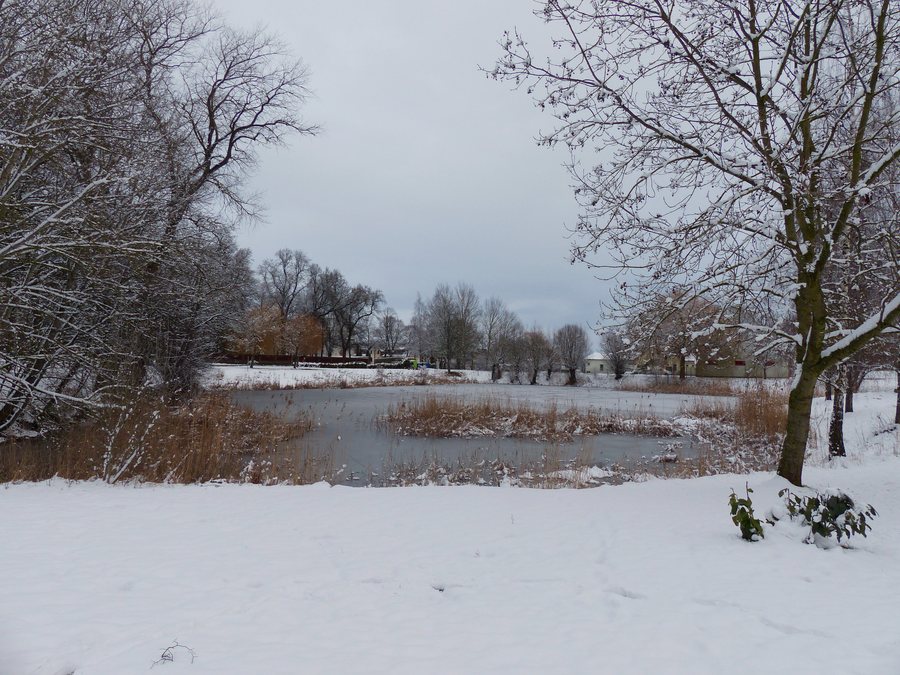 File:Tützpatz Dorfteich Winter 2013.JPG
