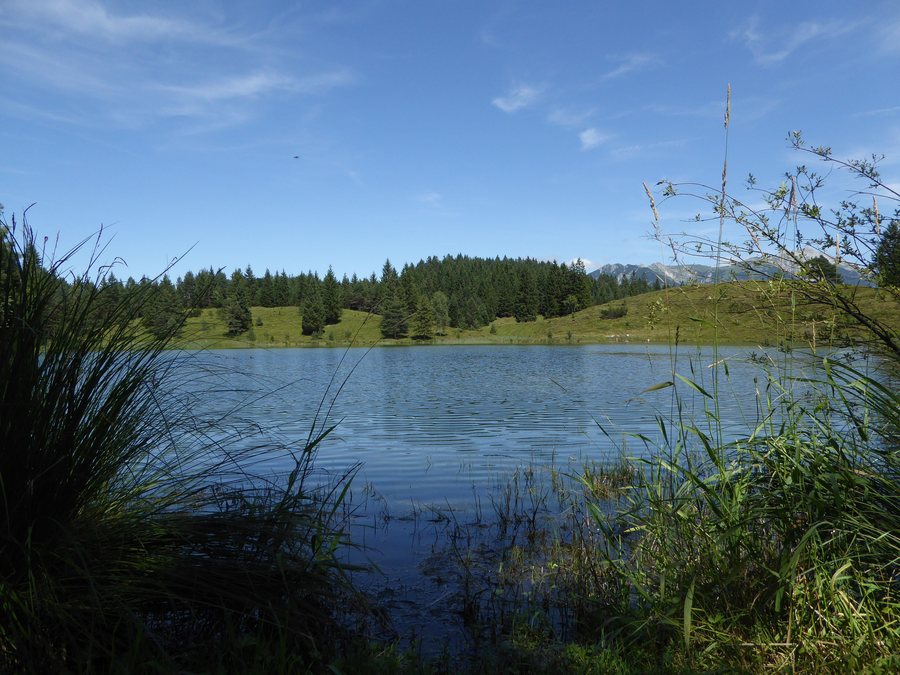 File:20170807 xl P1130852-blick-auf-den-hohen-brendten-vom-wildensee-bei-mittenwald.jpg