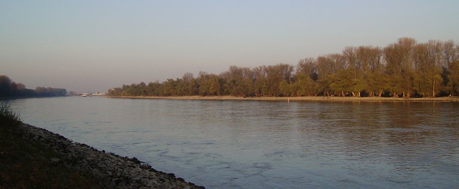 File:Altrip-Mannheim Rhein.jpg