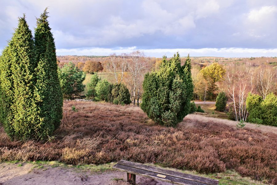 File:NSG LÜ 002 Lüneburger Heide, Novemberblick vom Turmberg, östlich von Oberhaverbeck, Gemeinde Bispingen, Landkreis Heidekreis.jpg