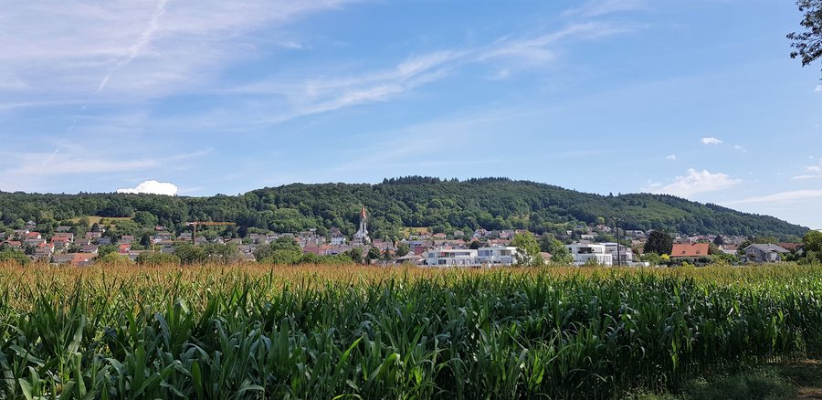 File:2020 Blick auf Gailingen.jpg