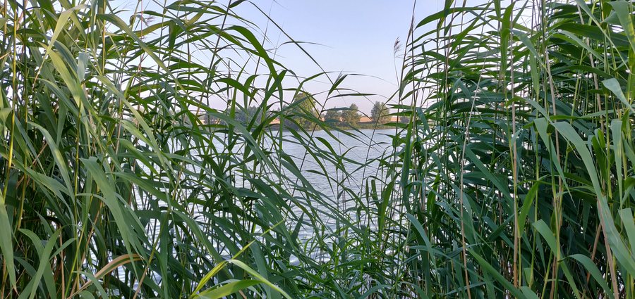 File:Neetzka with view to the lake.jpg