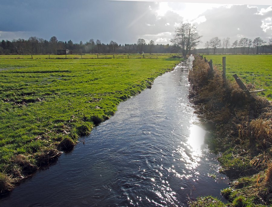 File:Bruchbach Eversen@20160224 11.JPG