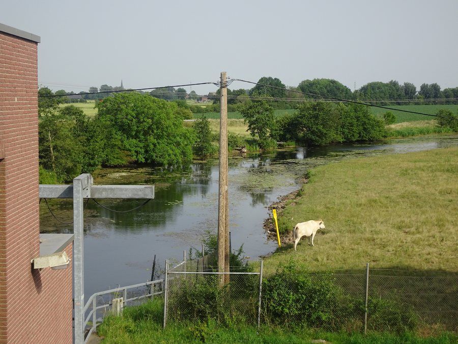 Altrhein Schöpfwerk Kleve-Griethausen