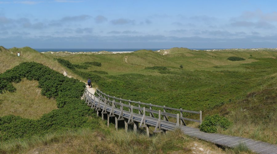 File:Amrum - Weg durch die Dünen zum Strand bei Nebel.jpg