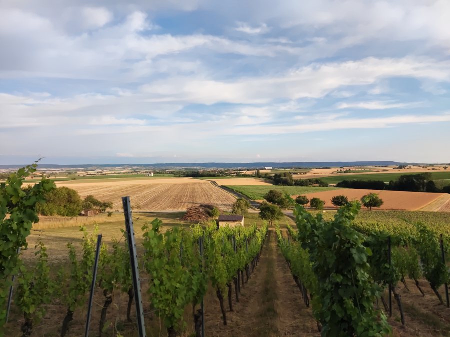 Landschaftsbild Ergersheim