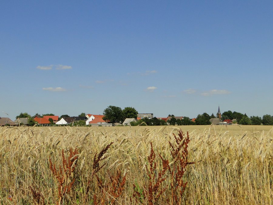 File:Ritzerow 2010-07-20 089.JPG