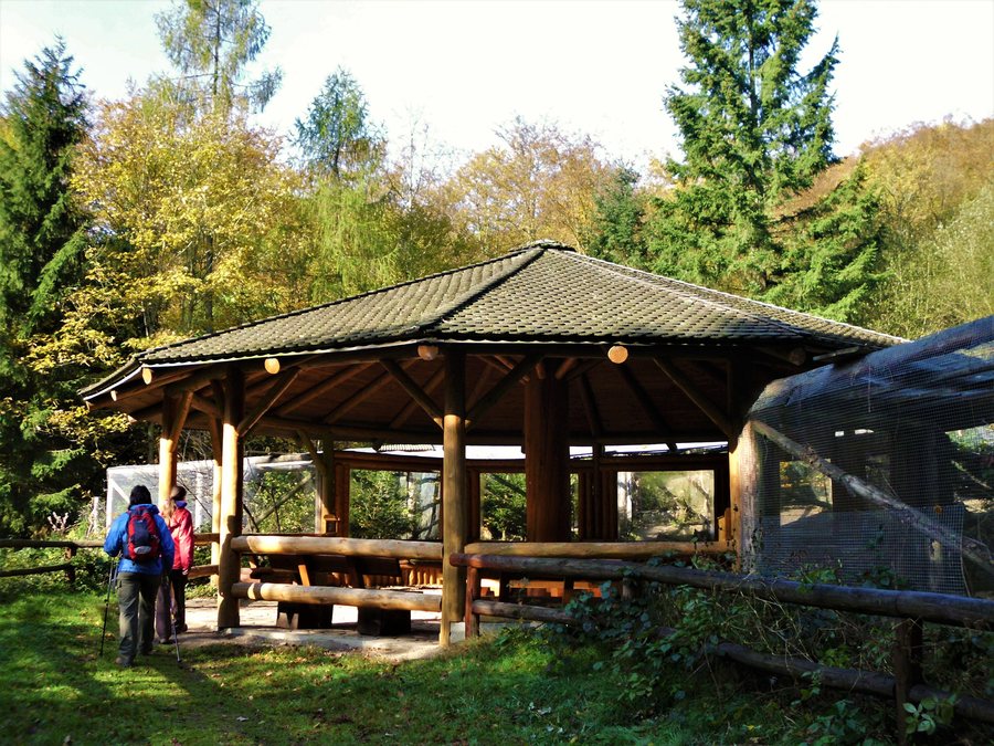 File:Auerhuhngehege Lonau.jpg