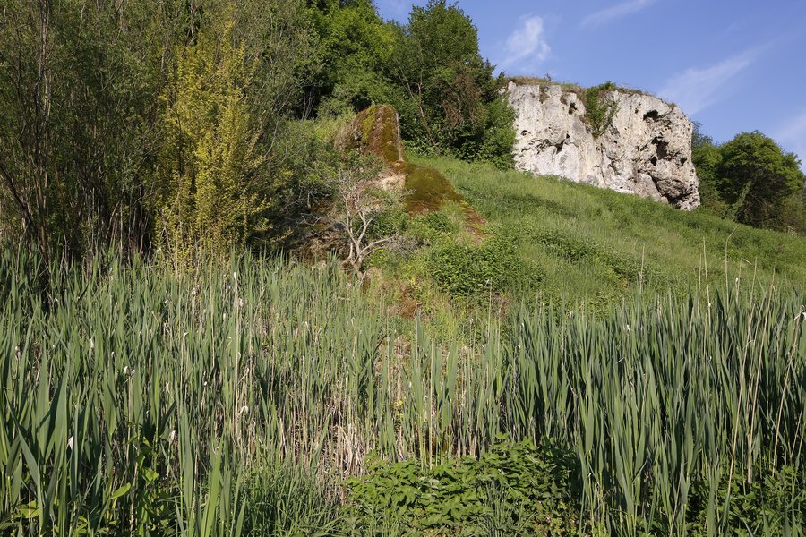 File:Naturdenkmal Tierstein, Kennung 82350800013, Wildberg-Sulz am Eck 01.jpg