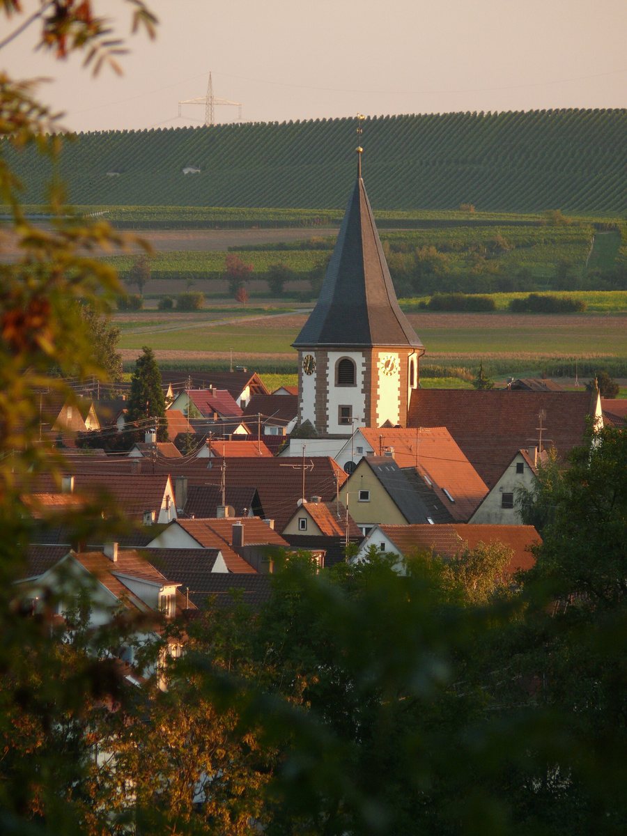 File:Brackenheim - Botenheim - Ansicht vom Brackenheimer Friedhof mit Turm der Marienkirche.jpg