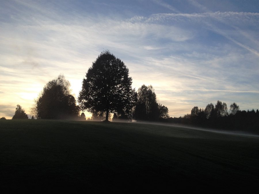 Nebel über den Wäldern bei Burgwalden