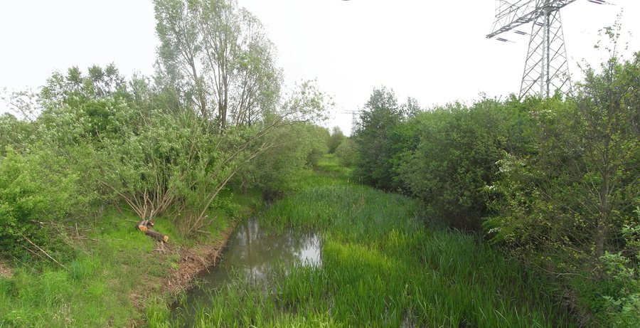 File:Boize Gallin 2012 North.jpg