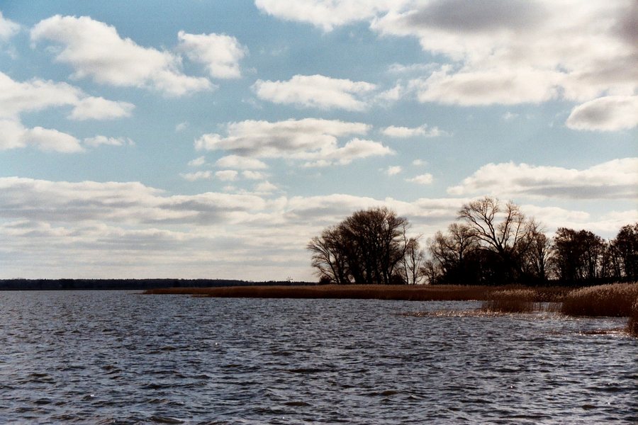 File:Dabitz (Kenz-Küstrow), the Barther Bodden-2.jpg