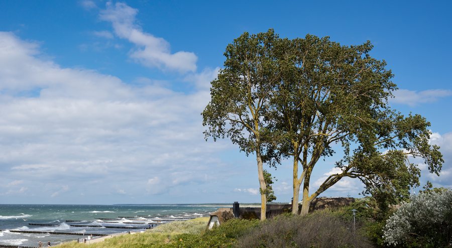 File:Ostseeküste bei Ahrenshoop.jpg