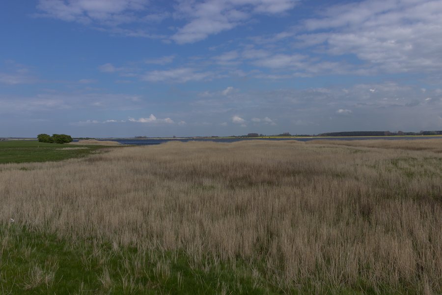 File:Nationalpark Vorpommersche Boddenlandschaft - Ummanz.JPG