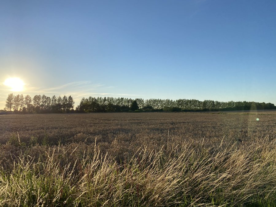 File:Broderstorf (50177405061).jpg