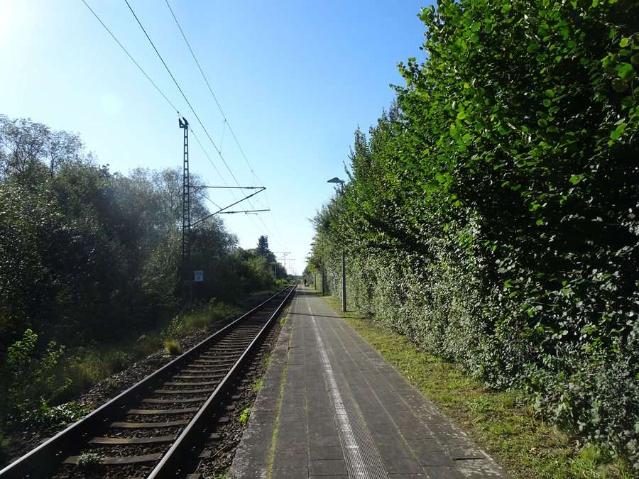 File:BfZarrendorfBstg.jpg