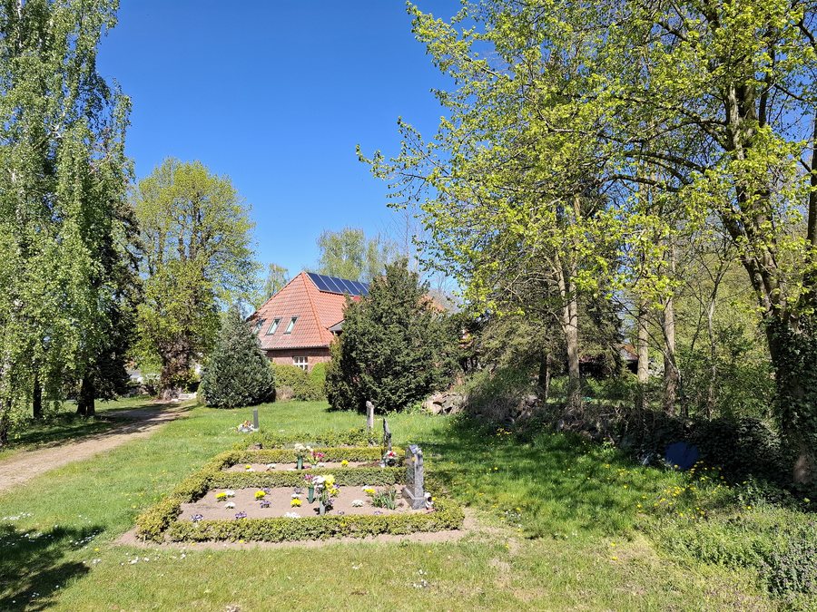 File:Friedhof Alt Bukow - Blick auf Naturdenkmal Sommerlinde im Nordosten.jpg