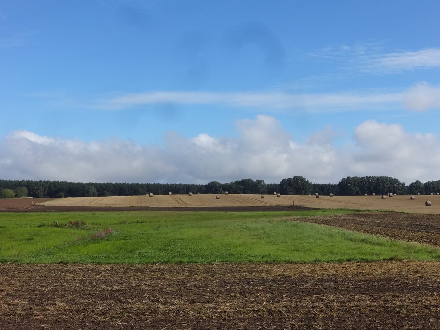 File:Rubenow Mühlberg.jpg