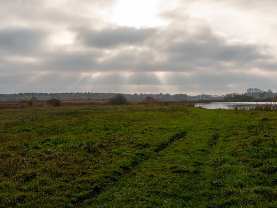 File:Recknitz Valley, Ribnitz-Damgarten (P1090243).jpg
