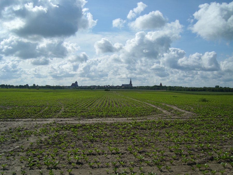Wackerow Caspar-David-Friedrich-Blick June-2010