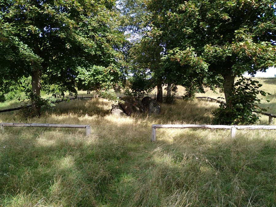 File:Großsteingrab Dolmen Dabel 2 20200919 124127.jpg