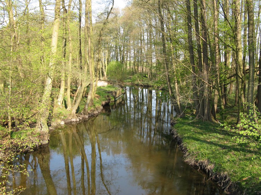 File:Langen Bruetz Warnow 2009-04-16 004.jpg
