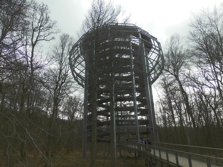 Turm und Steg des Baumwipfelpfads auf Rügen